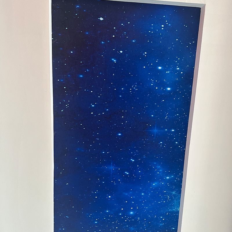 RGBW Moderna zvjezdana stropna svjetla Prilagodljivi dizajn Snimanje s optičkim vlaknima 3D model za hotel Grafička rješenja po narudžbi RGBW Moderna zvjezdana stropna svjetla Prilagodljivi dizajn Snimanje s optičkim vlaknima 3D model za hotel Grafička rješenja po narudžbi